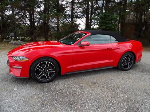 Used 2020 Ford Mustang Premium RWD image 1