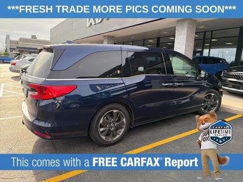 Used 2022 Honda Odyssey Elite image 4