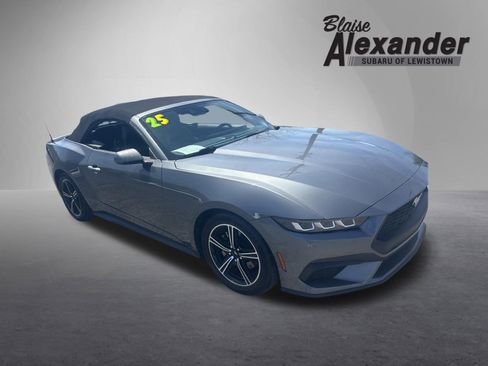 Used 2025 Ford Mustang Premium RWD image 1