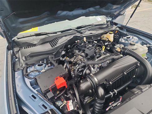 New 2026 Ford Mustang EcoBoost w/ Mustang Nite Pony Package image 12