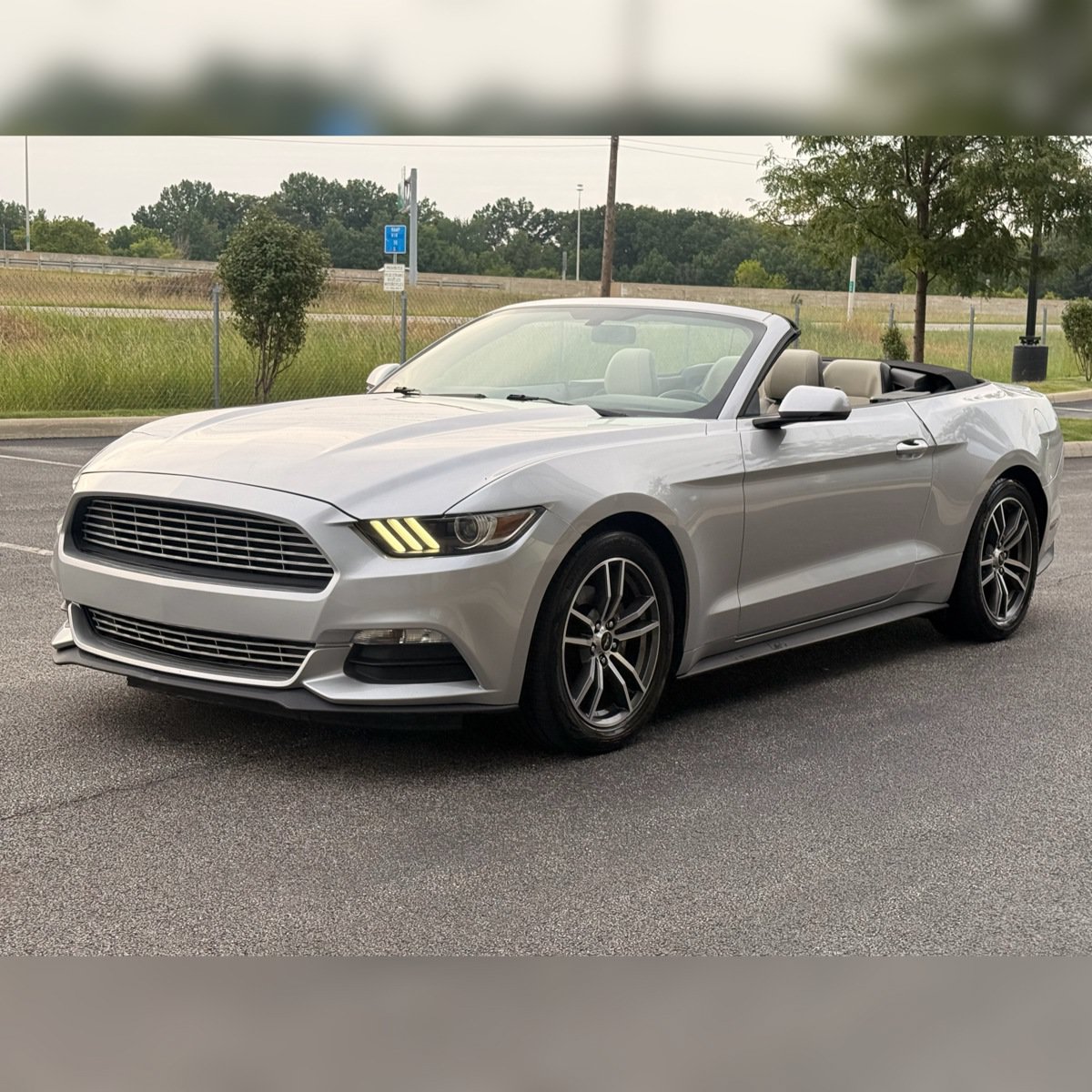 Used 2017 Ford Mustang Premium RWD image 4