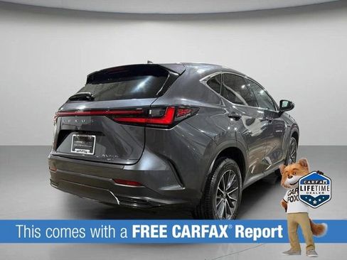 Used 2025 Lexus NX 350 AWD image 3