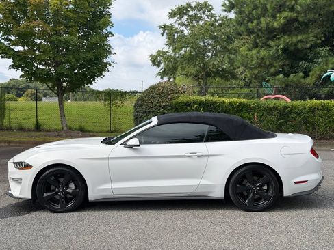 Used 2019 Ford Mustang Premium w/ Carbon Sport Interior Package RWD image 2