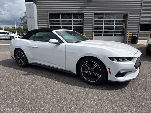 Used 2024 Ford Mustang Premium RWD image 2
