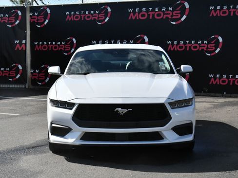 Used 2024 Ford Mustang Premium image 2