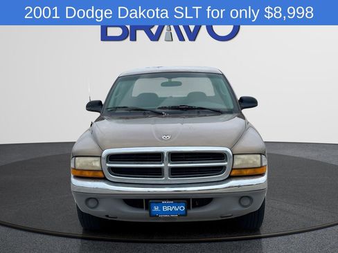 Used 2001 Dodge Dakota SLT RWD image 2