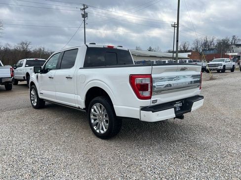 Used 2023 Ford F150 Limited image 6