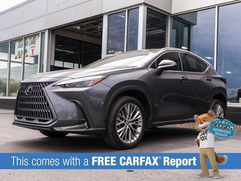 Used 2023 Lexus NX 350h AWD w/ Cold Area Package image 3