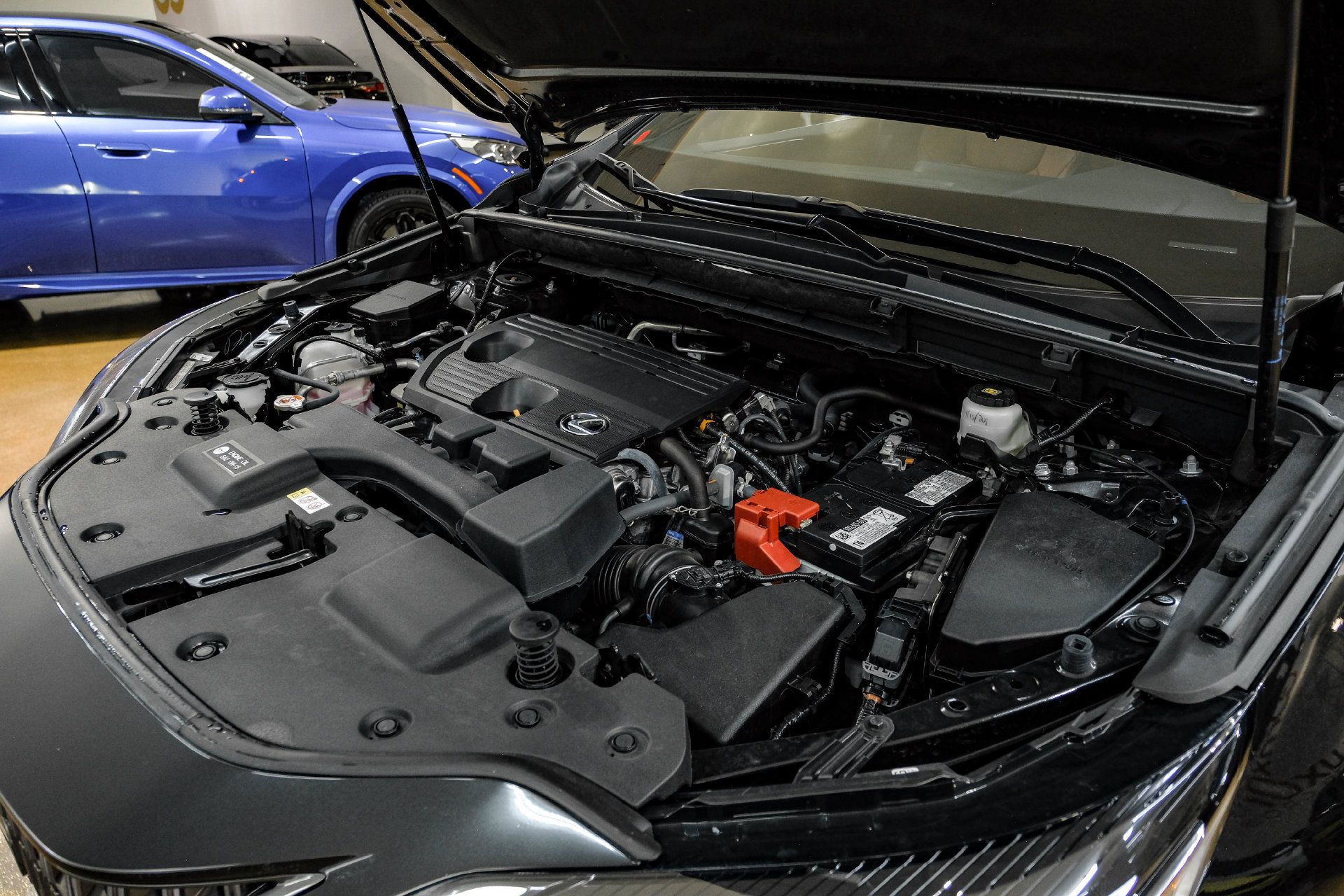 Used 2025 Lexus NX 250 FWD w/ Cold Area Package image 54