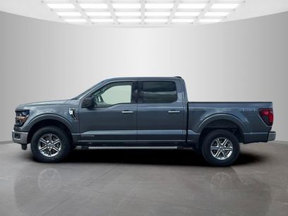 Used 2025 Ford F150 XLT w/ Equipment Group 301A Standard