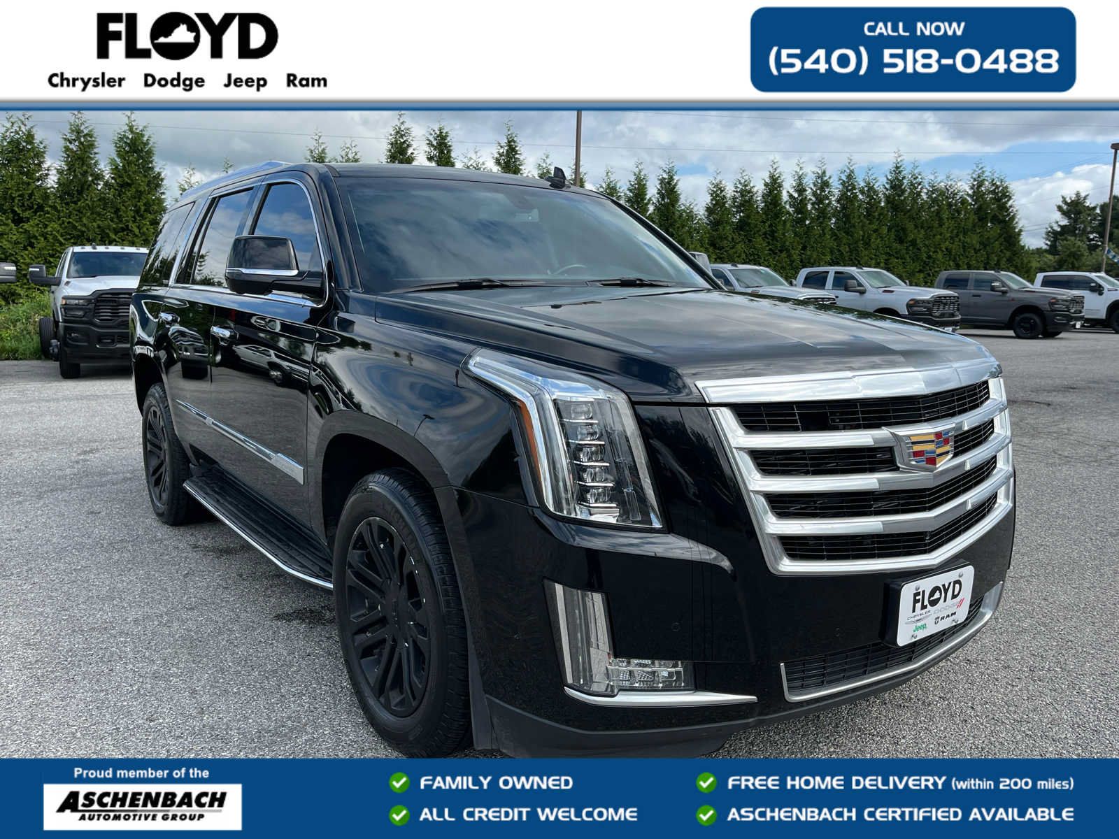 Used 2018 Cadillac Escalade 4WD image 1