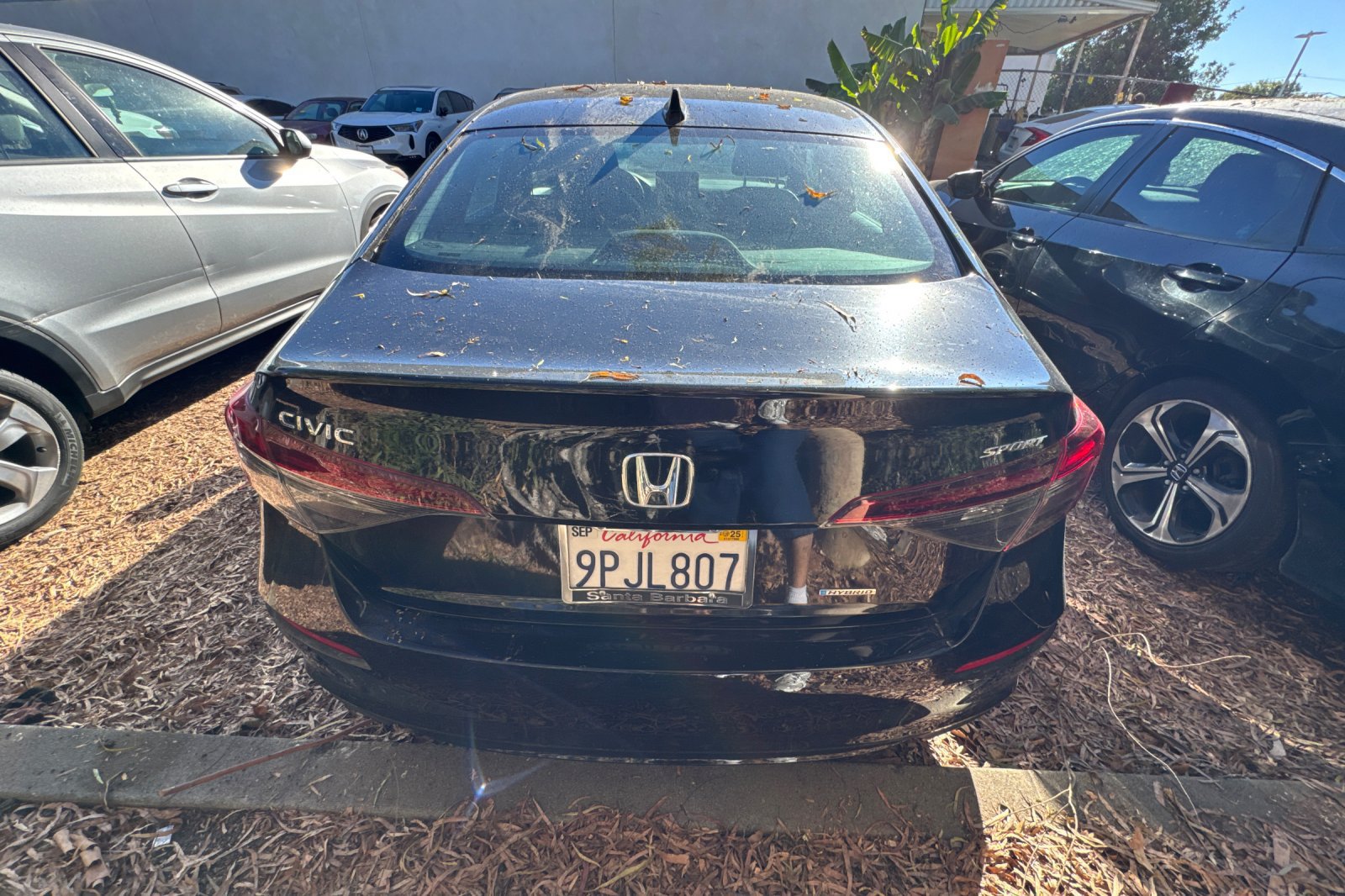 Used 2025 Honda Civic Sport image 5