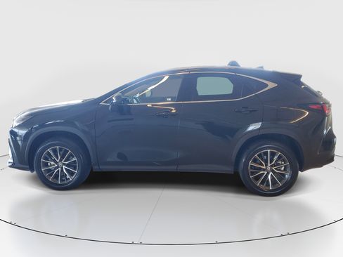 Used 2025 Lexus NX 250 FWD w/ Accessory Package (Z1) image 7
