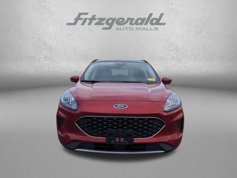 Used 2021 Ford Escape SE image 2