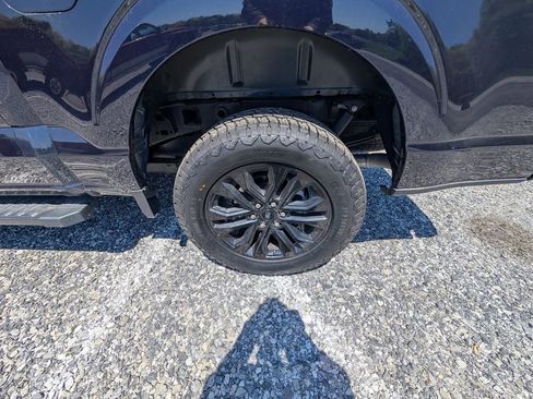 Used 2025 Ford F150 XLT w/ Equipment Group 303A High AWD/4WD image 8
