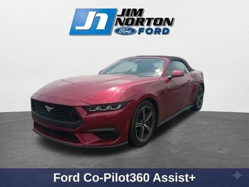 Used 2025 Ford Mustang Premium RWD image 4