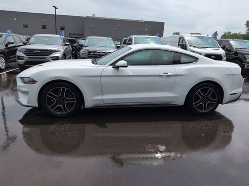 Used 2020 Ford Mustang Premium RWD image 2