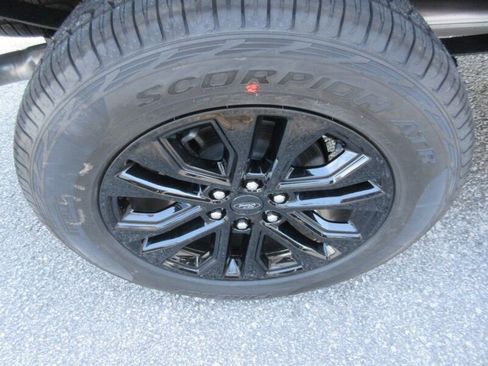 New 2025 Ford F150 XLT w/ Equipment Group 302A MID image 12