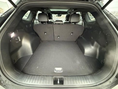 Used 2024 Kia Sportage X-Line w/ X-Line Premium Package image 12