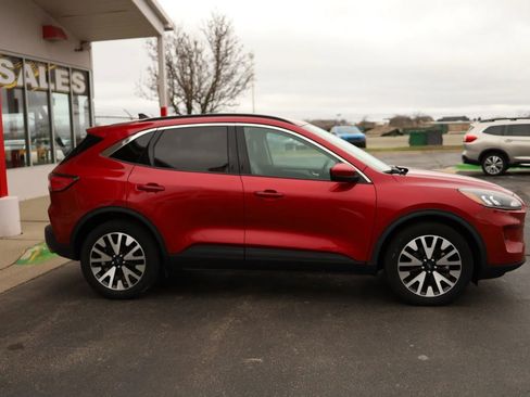 Used 2020 Ford Escape SEL image 4