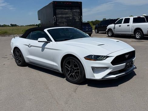 Used 2023 Ford Mustang Premium w/ Equipment Group 201A RWD image 2