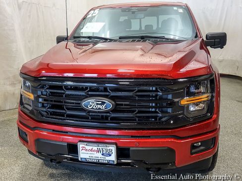Certified 2025 Ford F150 XLT w/ Equipment Group 303A High AWD/4WD image 5