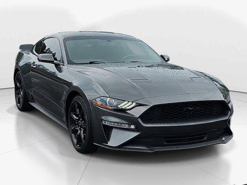 Used 2019 Ford Mustang Premium w/ Equipment Group 201A RWD image 1