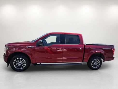 Used 2019 Ford F150 XLT w/ Equipment Group 302A Luxury RWD image 8