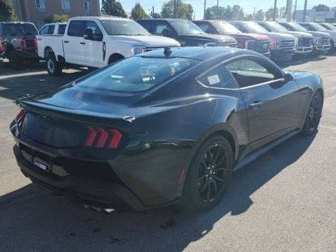 New 2025 Ford Mustang GT w/ Mustang Nite Pony Package image 7