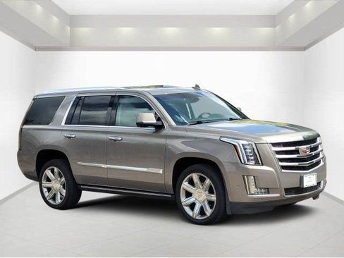 Used 2019 Cadillac Escalade Premium Luxury RWD image 1