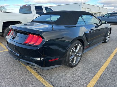 Used 2022 Ford Mustang GT Premium w/ California Special Package image 8