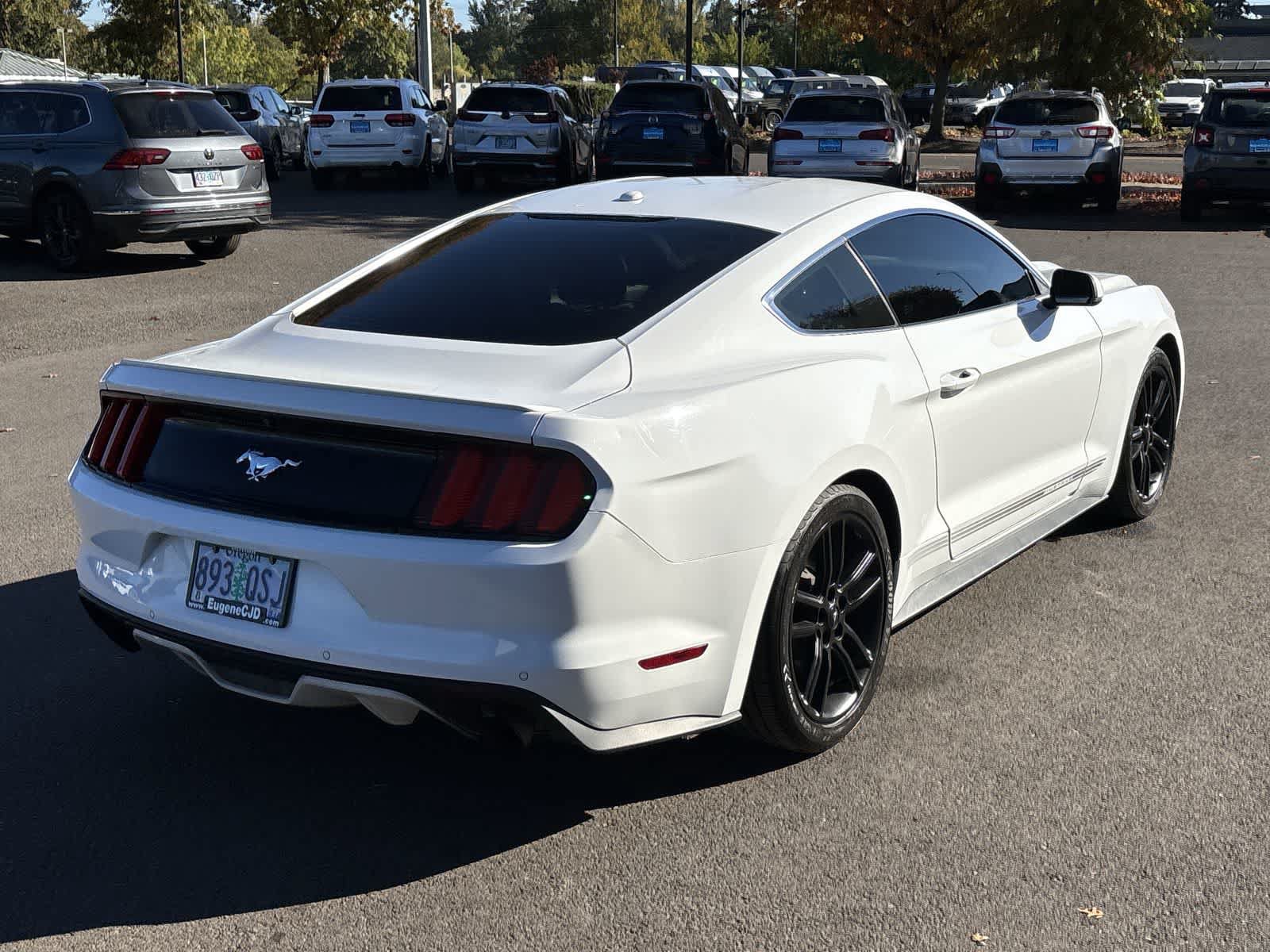 Used 2016 Ford Mustang Premium w/ Equipment Group 201A RWD image 5