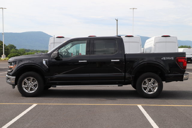 Used 2025 Ford F150 XLT w/ Equipment Group 301A Standard AWD/4WD image 5