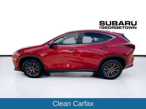 Used 2025 Lexus NX 350 AWD w/ Cold Area Package image 4