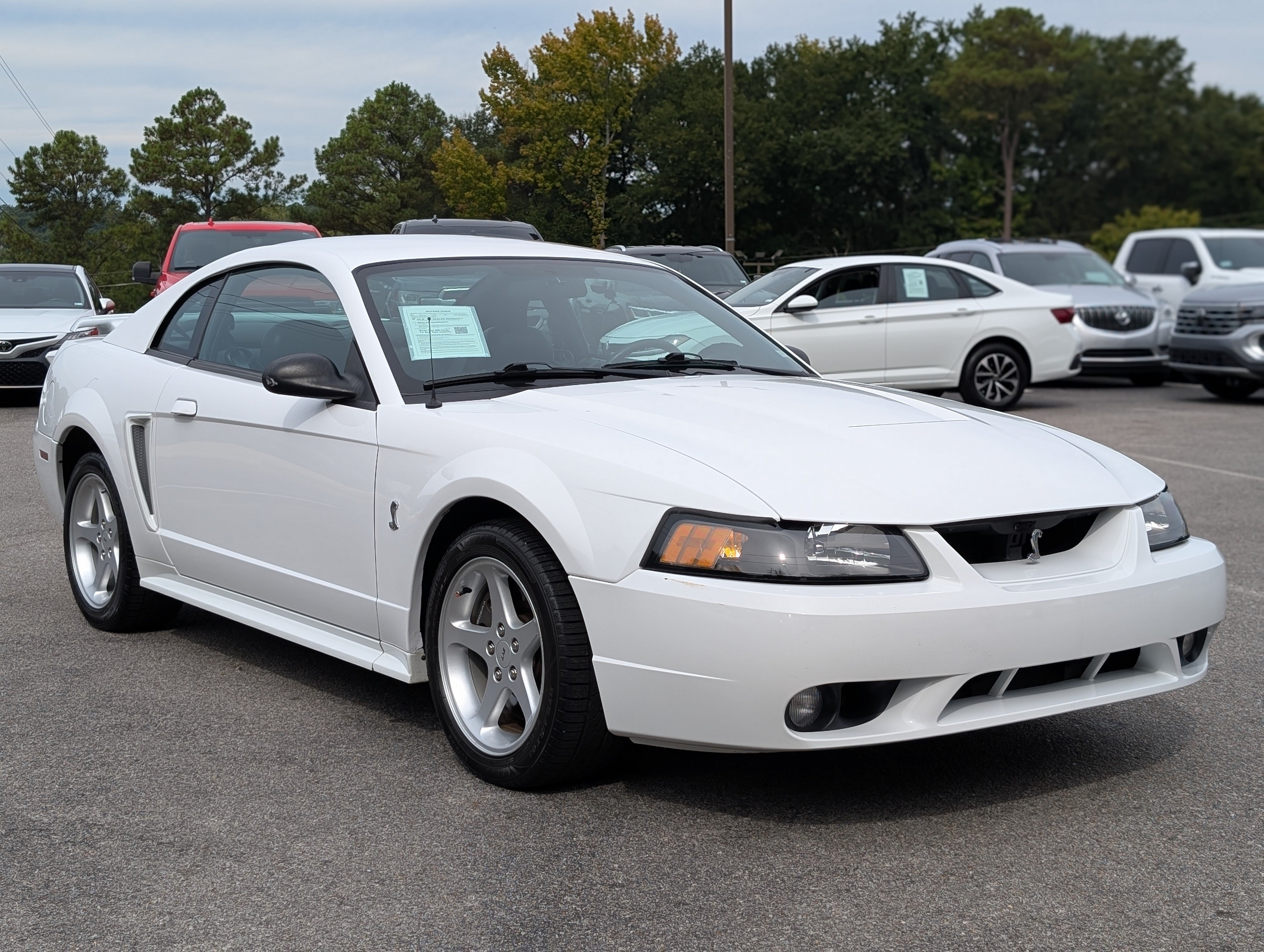 Used 2001 Ford Mustang Cobra RWD image 10