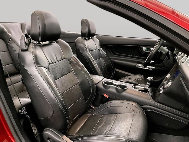 Used 2019 Ford Mustang Premium w/ Equipment Group 201A RWD image 7