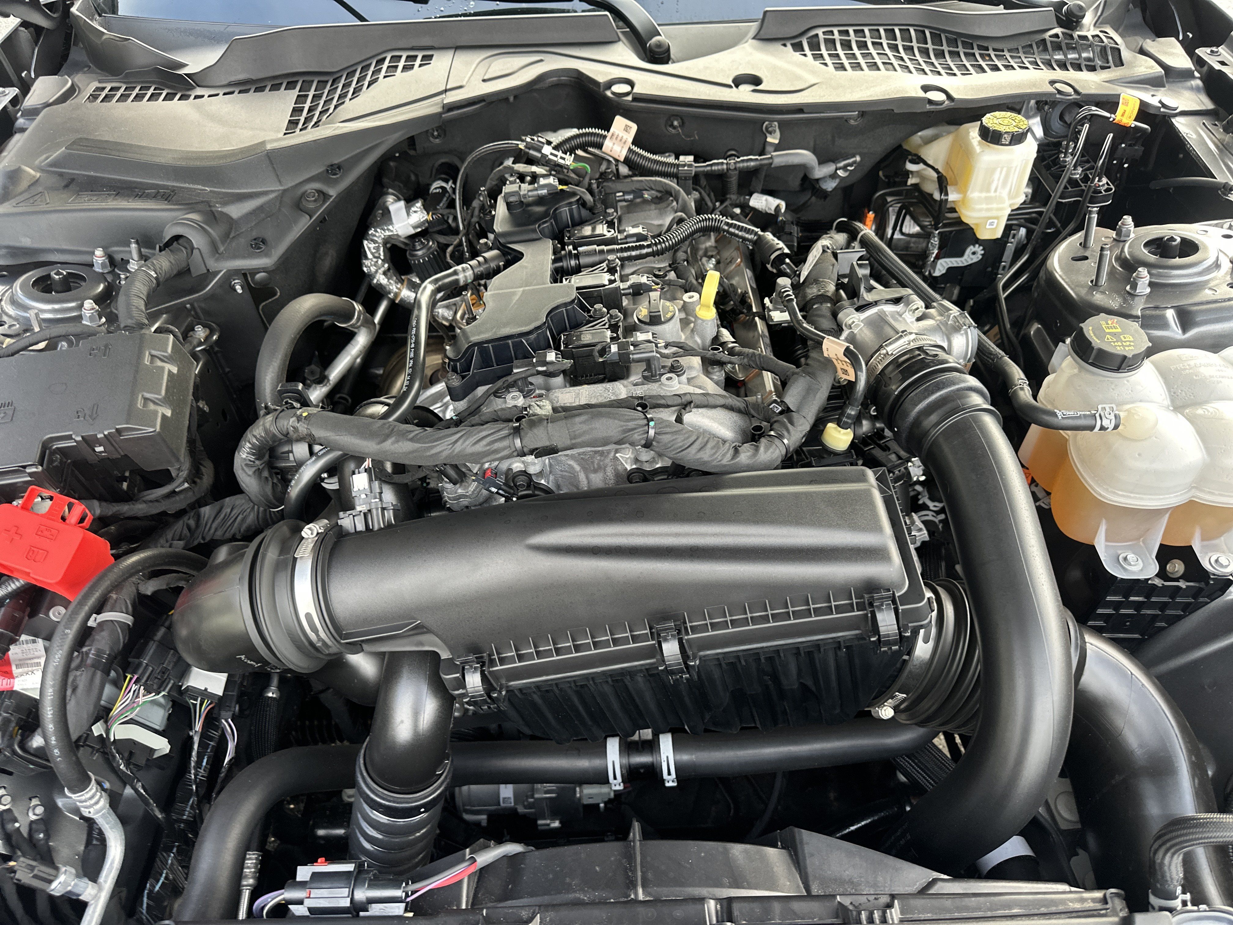 Used 2025 Ford Mustang Coupe RWD image 10