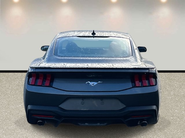 New 2026 Ford Mustang Premium RWD image 6