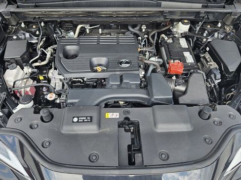 Used 2024 Lexus NX 250 250 Base w/ Cold Area Package image 16