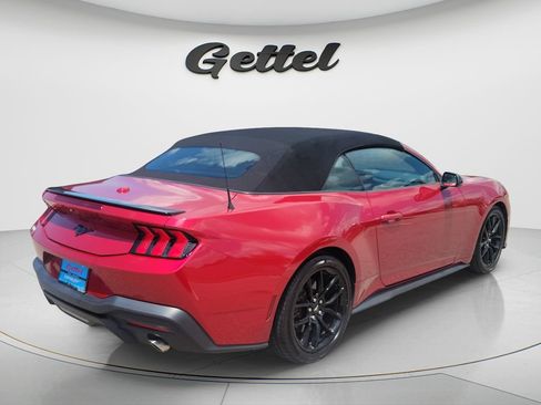 Used 2024 Ford Mustang Premium w/ Mustang Nite Pony Package RWD image 5