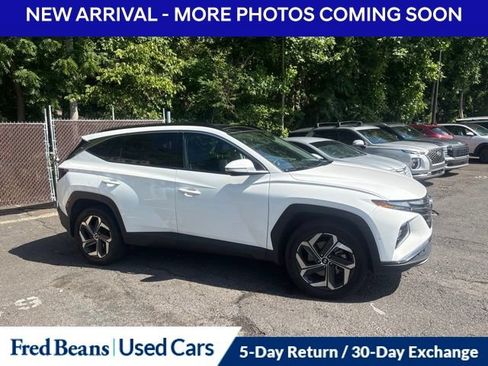 Used 2023 Hyundai Tucson Limited AWD/4WD image 4