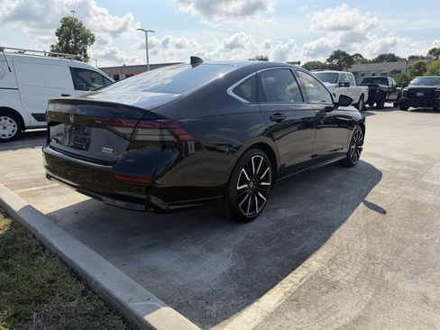 Used 2025 Honda Accord Touring image 6