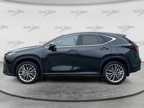 Used 2025 Lexus NX 350h AWD w/ Luxury Package image 4