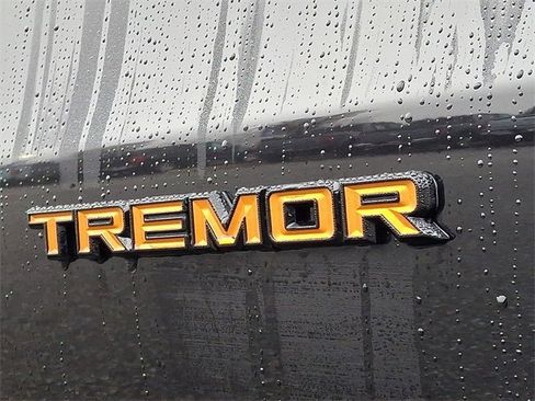 New 2026 Ford Expedition Tremor image 10