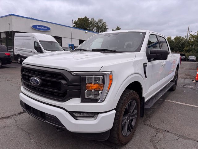 Used 2023 Ford F150 XLT w/ Equipment Group 302A High AWD/4WD image 6