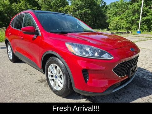 Used 2020 Ford Escape SE FWD image 2