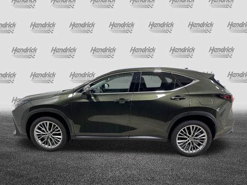 Used 2025 Lexus NX 350h AWD w/ Accessory Package (2T) image 7