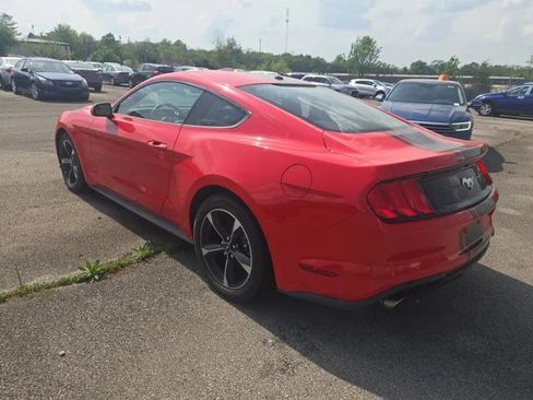 Used 2019 Ford Mustang Coupe RWD image 3