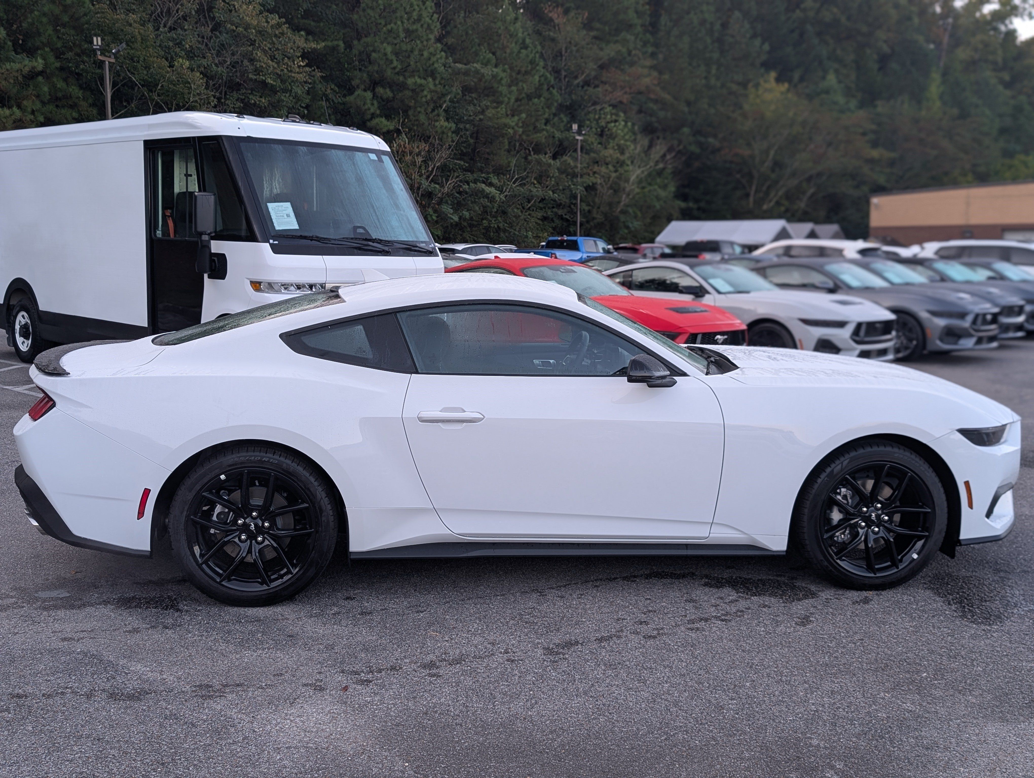 Used 2026 Ford Mustang Premium RWD image 10