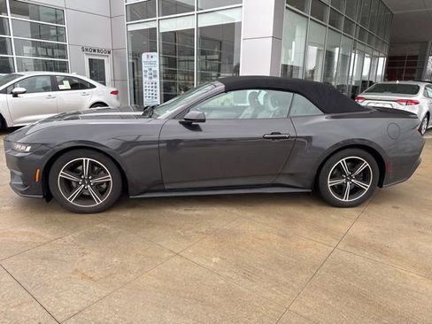 Used 2024 Ford Mustang Premium image 4